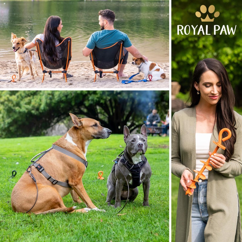 ROYAL PAW ROYAL-PAW Dog Tie Out Stake - for Large Dogs up to 210 lbs - Heavy Duty Dog Stake for Yard, Beach & Camping Outside - Best in Ground Anchor for a Dog Cable, Leash, Lead Tether (1, Midnight Black) - Image 5